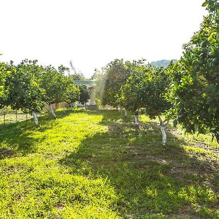 Spasmeni Vrisi Ligia Exterior foto