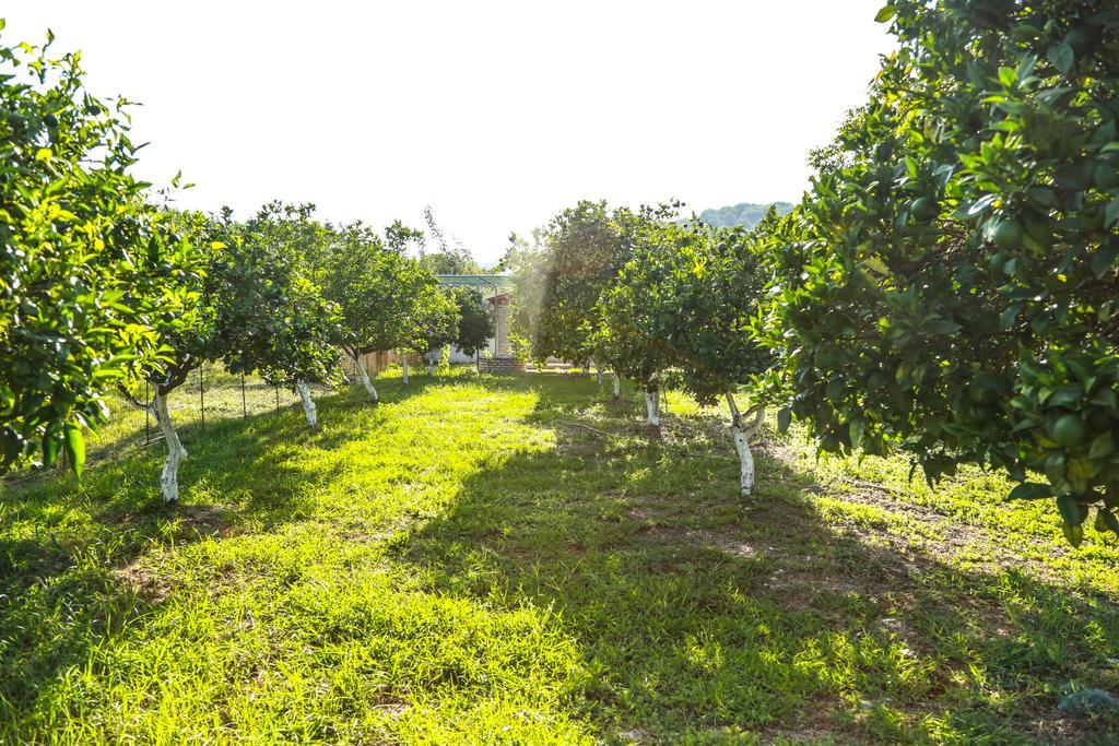 Spasmeni Vrisi Ligia Exterior foto