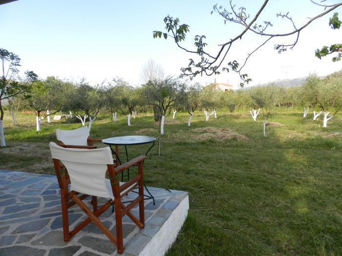 Spasmeni Vrisi Ligia Habitación foto